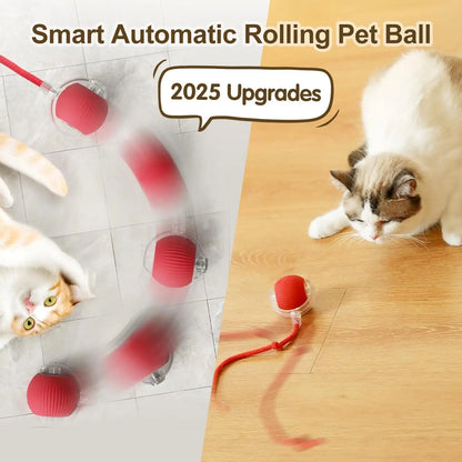 Automatic Rolling Mouse Toy with Tail & Rechargeable Battery