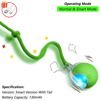 Automatic Rolling Mouse Toy with Tail & Rechargeable Battery