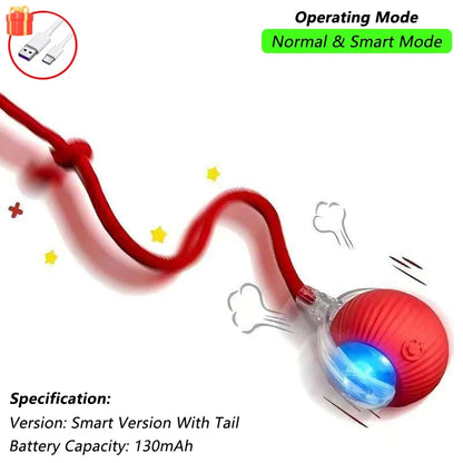 Automatic Rolling Mouse Toy with Tail & Rechargeable Battery