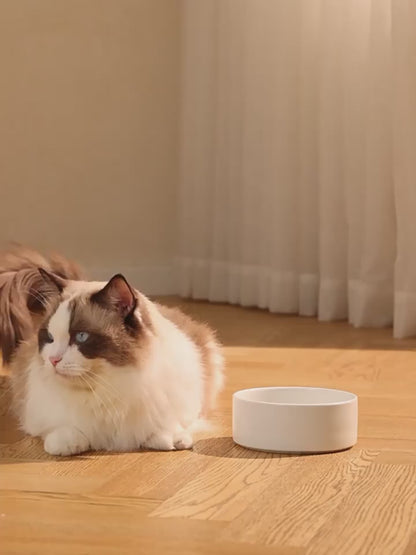 Cute Smart Pet Feeding Station